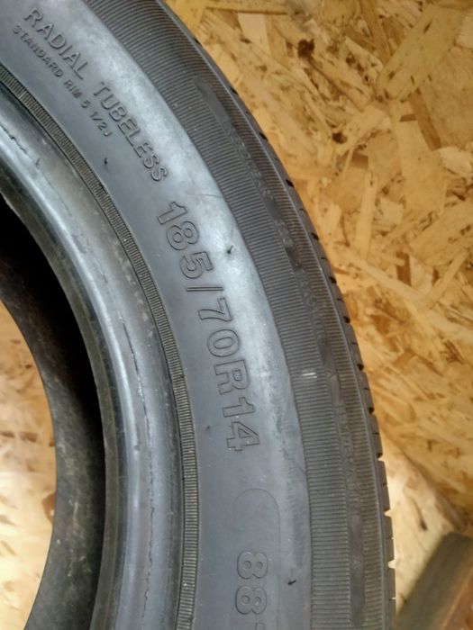 Продам два болона