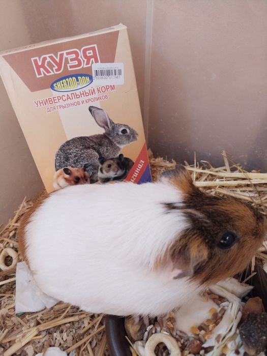 Премиум-корм для кроликов, морских свинок и хомяков