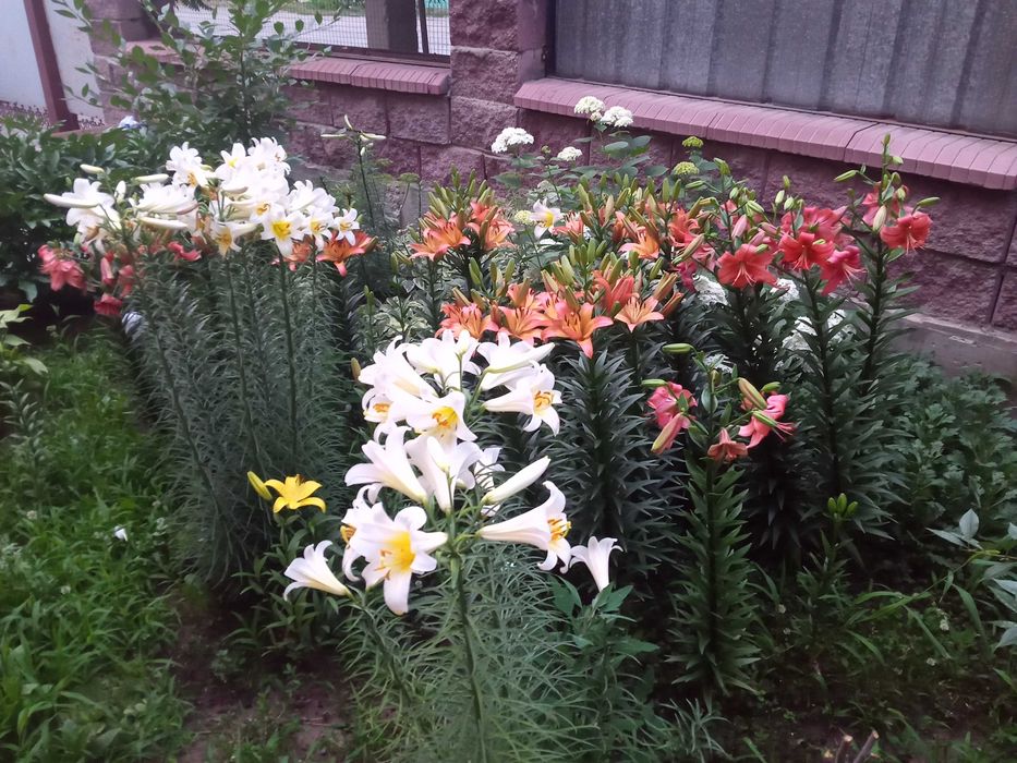 Продам отдельный Дом