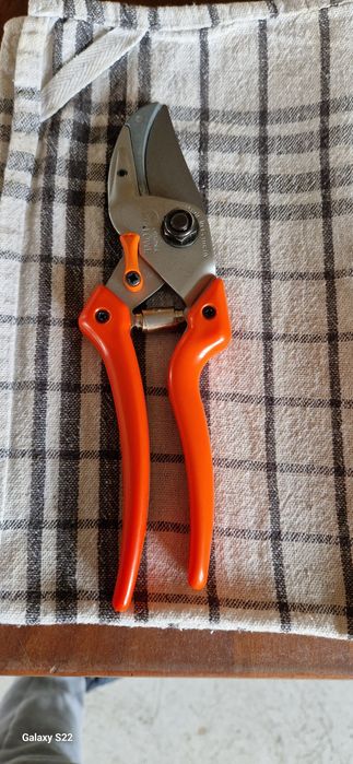 Foarfeca profesionala