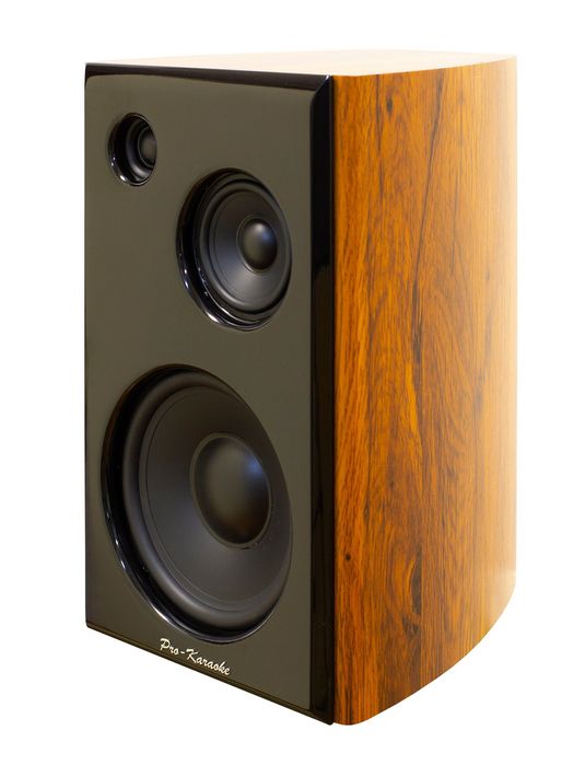 Комплект караоке Pro-Karaoke DS-90