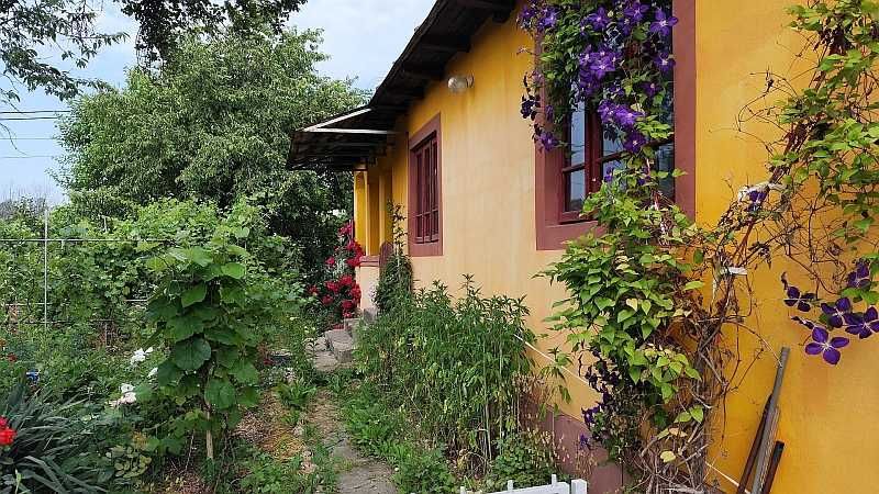 Vand casa teren 6100mp 4 camere Constantinesti-Scornicesti 45.000 euro