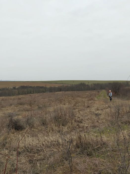 Teren 12 ha DN11A Podu Turcului–Căbești/ideal fermă,hale,fotovoltaic