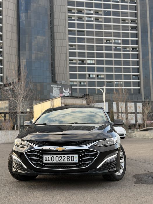 malibu primyer qilingan