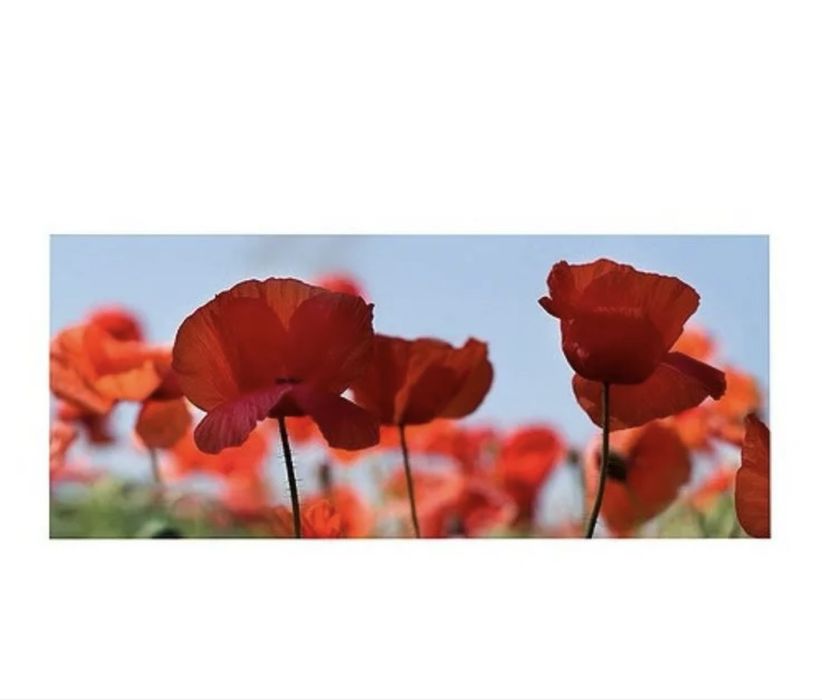 ИКЕА .Картина Маки печать на холсте