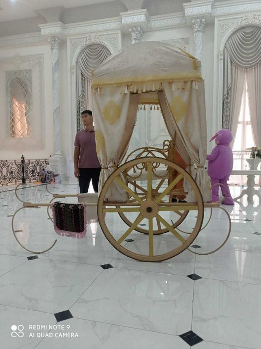 Белая лошадь, пони, трон, конь