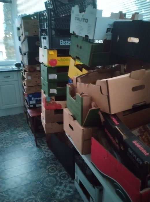 Продавам семена бели тикви и цигулки