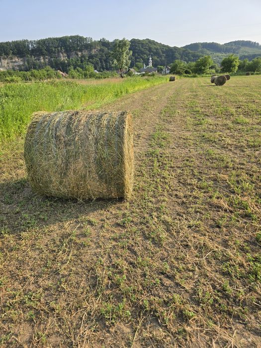 Baloți lucernă rotunzi