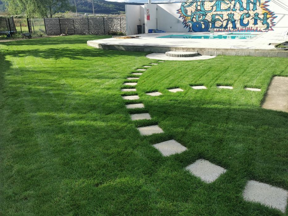 Gazon rulou  însământare   sisteme de irigat Rain Bird   gard viu