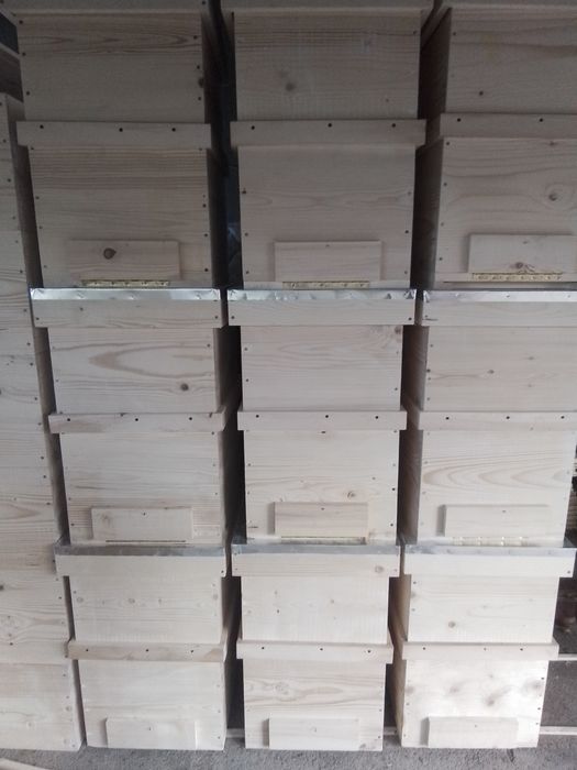 Vind Lăzi stupii  noi 170 lei