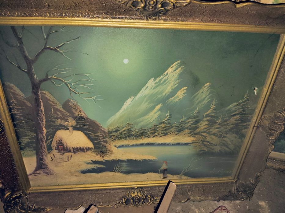 Pictura panza, 60x50 cm aprox.