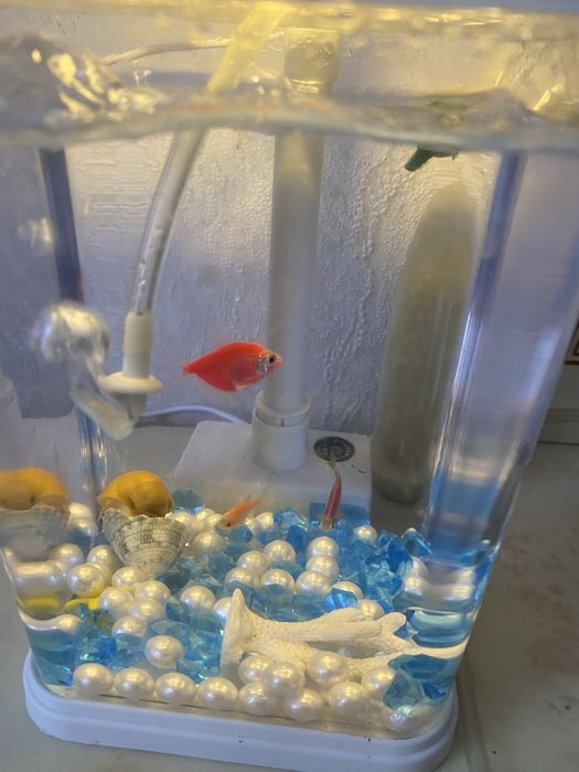 Продам красивый аквариум