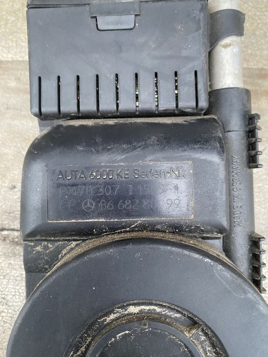 Vand ciclamen 15 lei