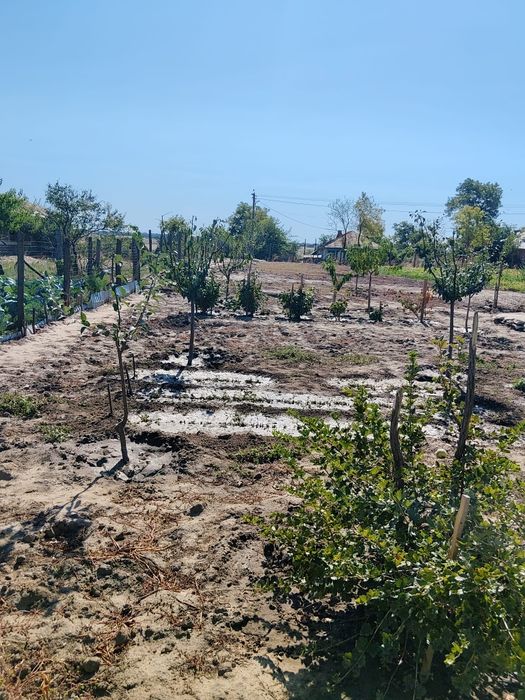 Casă de vânzare , 4 camere, 2 holuri
