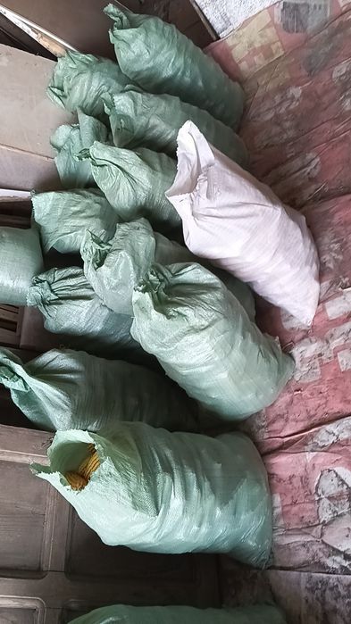 Makkajoʻxori sotiladi 90 kunlik