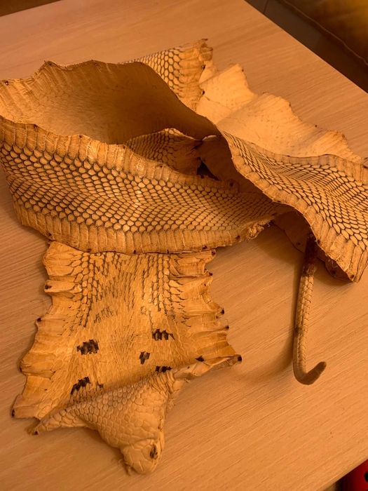 Piele naturala SARPE, intreaga, 150 X 30 cm