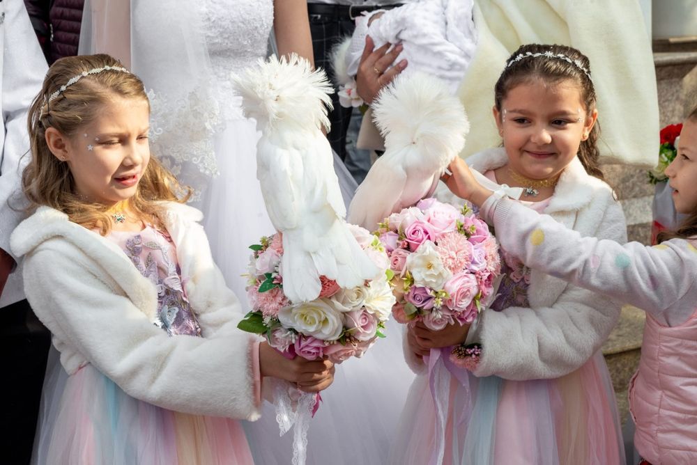 Porumbei albi pt nunti si alte evenimente, aranjamente cristelnita.