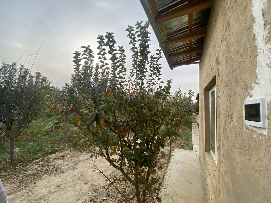 uy joy 8 sotik obwi 32 sotik Nazarbedigi Turkistonda joylashgan