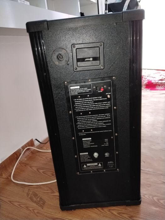 Boxa Viliodor profesionala activa