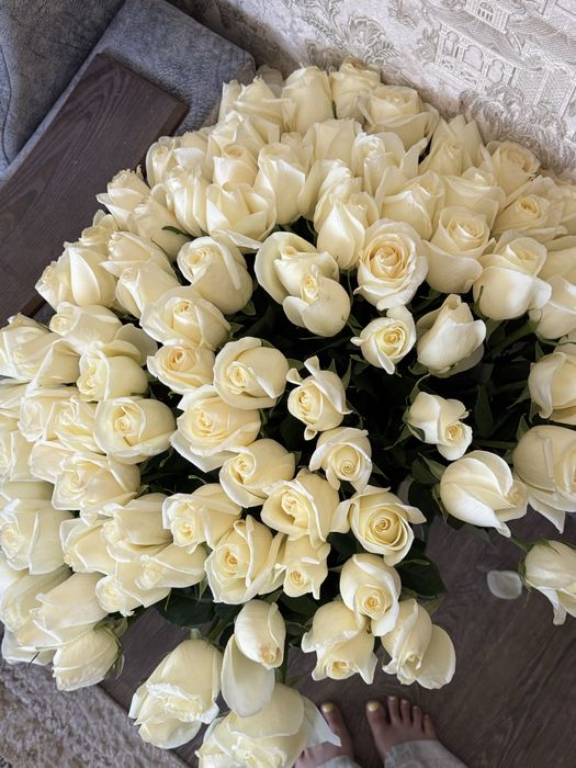 101 голландские розы