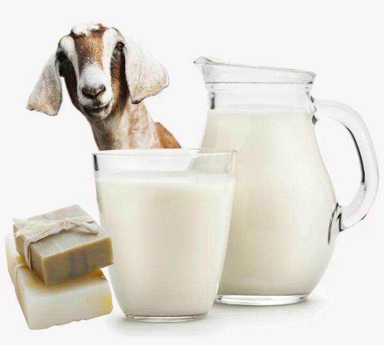 Ешкі сүті Ешкы суты Козье молоко Сүт