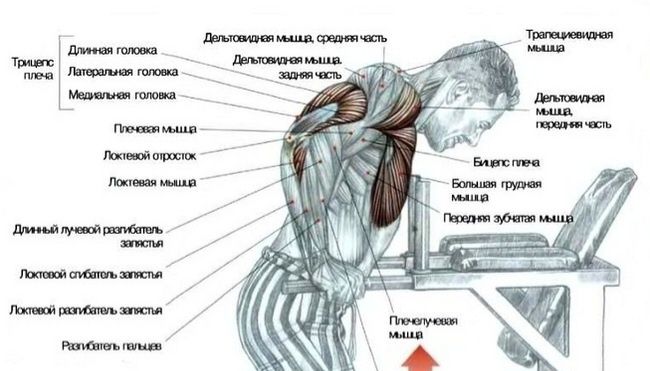 Оформление фитнес-клубов и спортзалов, картины постеры, плакаты, принт