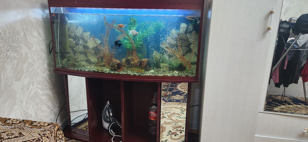 Аквариум сотилади