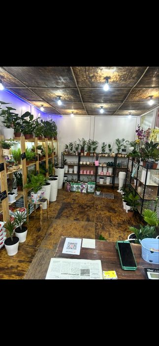 Продам действующий бизнес