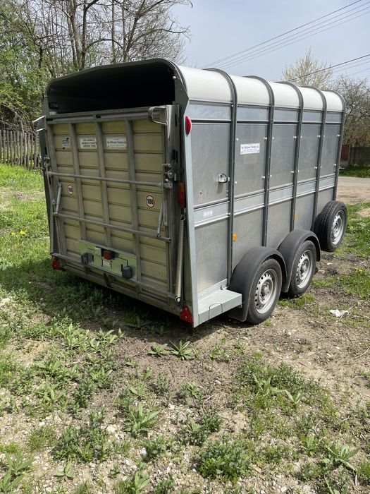 Transport animale vii autorizat livestock