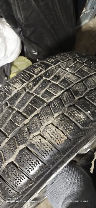 Зимние шины пара