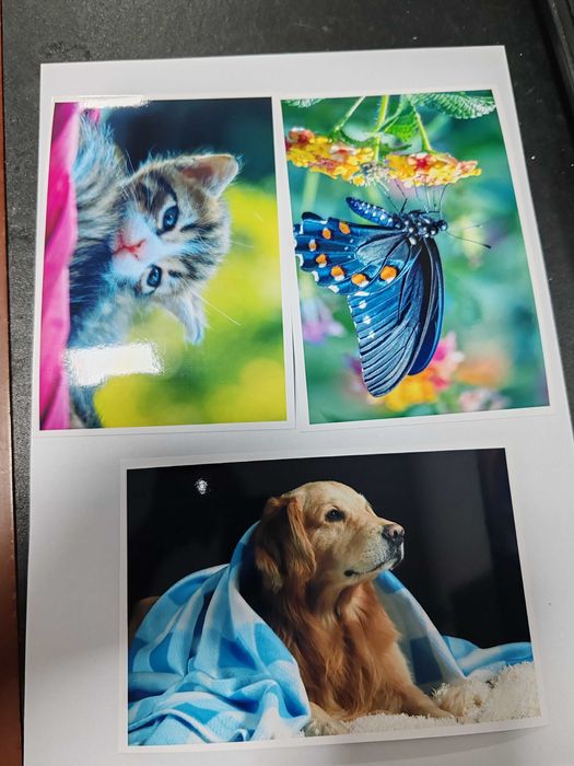 Imprimanta foto Epson PX820FWD