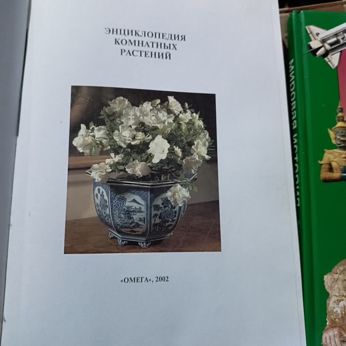 Энциклопедия комнатных растений.
