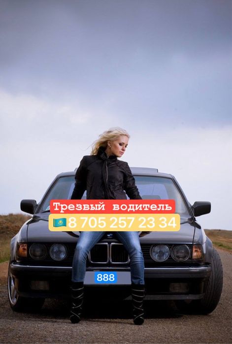 Трезвый водитель