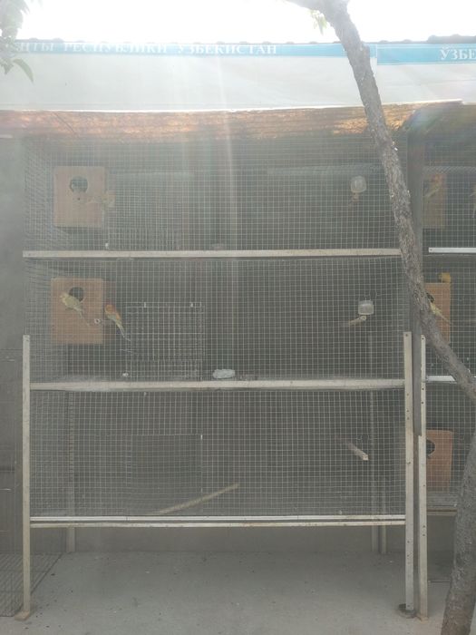 клетка советской отценковенной