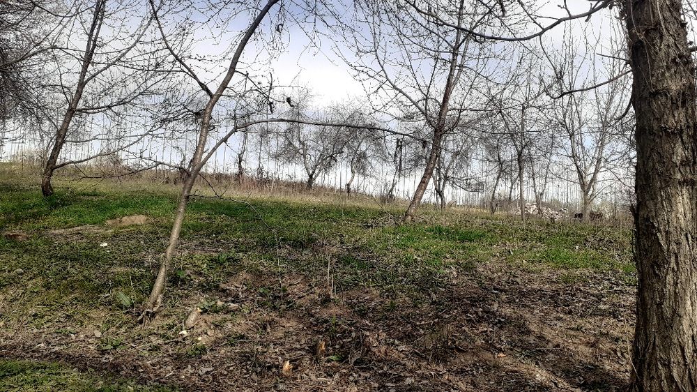 Участка сотилади