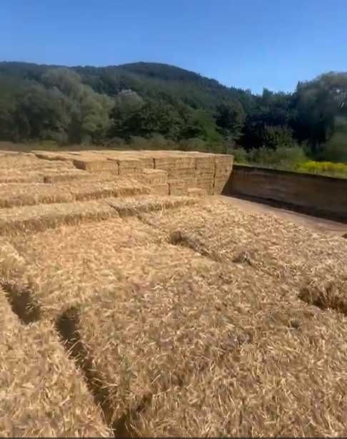 Vindem/Schimb  baloti de paie patrati  2024