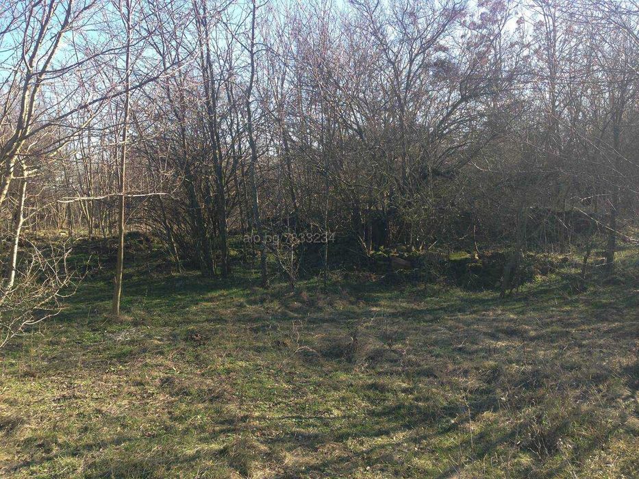 Парцел в Бежаново