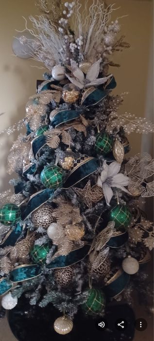 Vand brad de craciun!