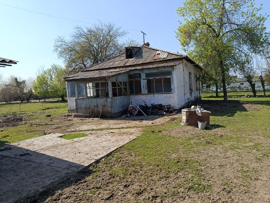 Дача сотилади. 60 сот Сирдаре вилоятида дарега якин