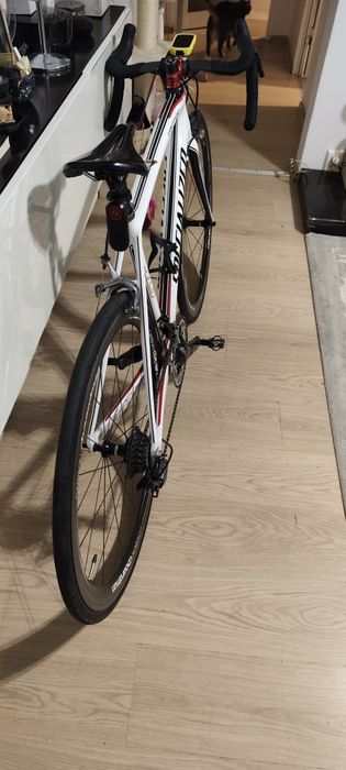 Cursiera Specialized carbon S