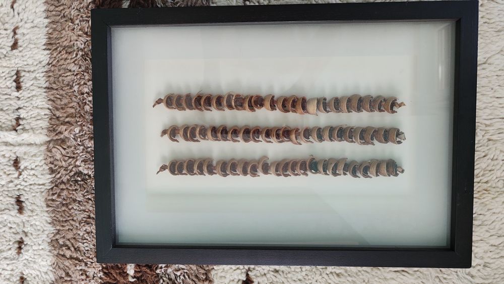 Декорация (картина, икебана)