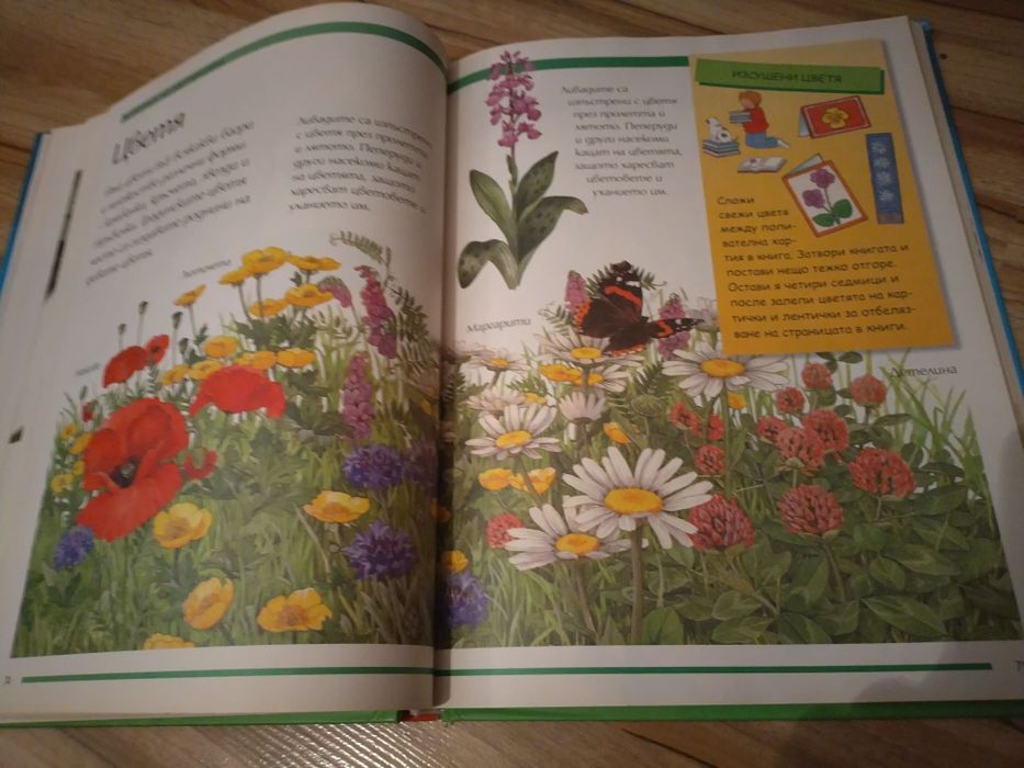 Голяма детска енциклопедия