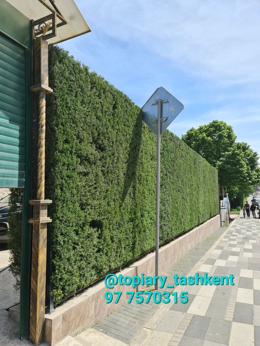 Archa kesish dorilash