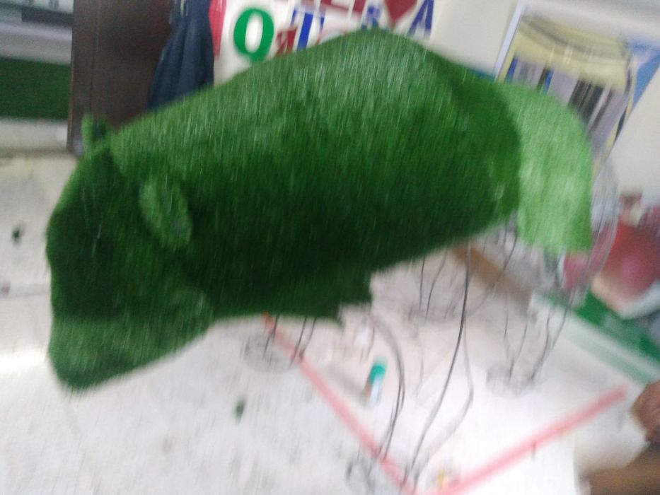 Тапиарни айик газондан