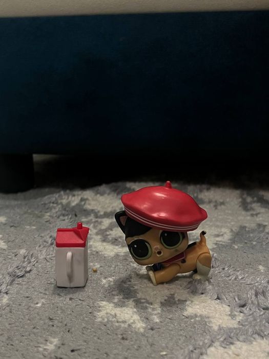 Barbie, LOL, rainbow high