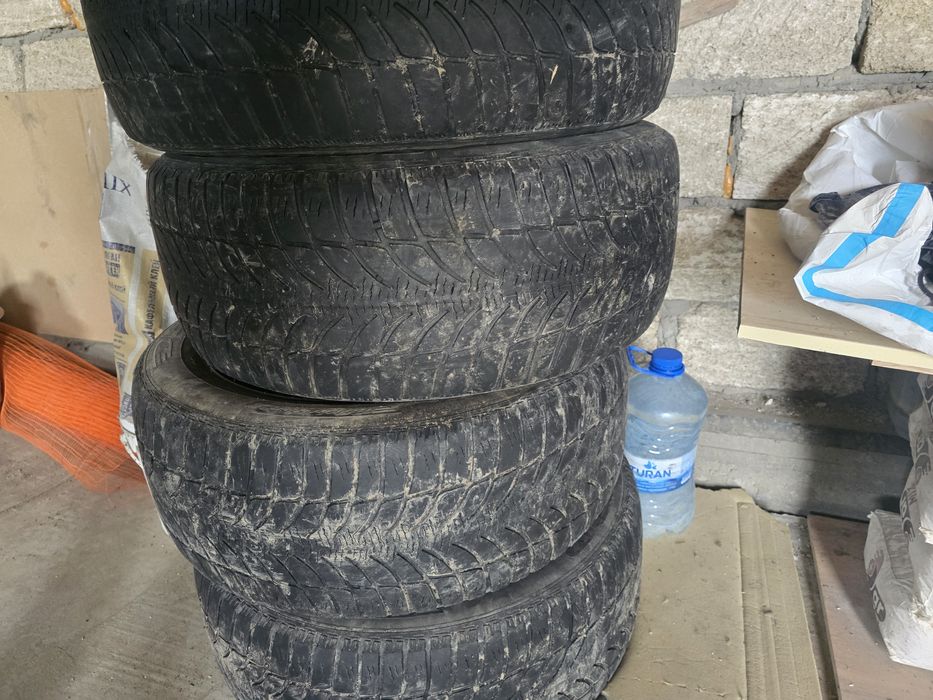 Шина липучка зимние