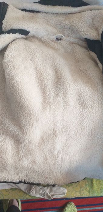 Scurtă imblanita damă