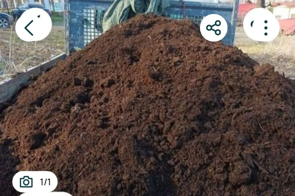 Vind pamint vecetal si mranita de vaci
