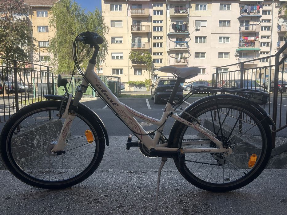 Bicicleta de fete