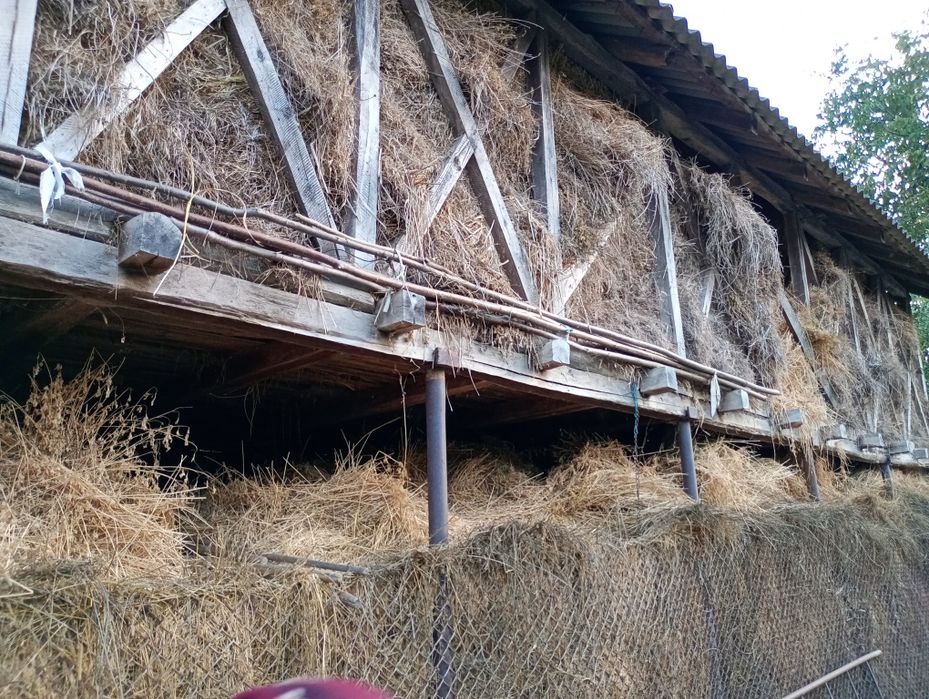 Vând lucerna vrac . Gorj